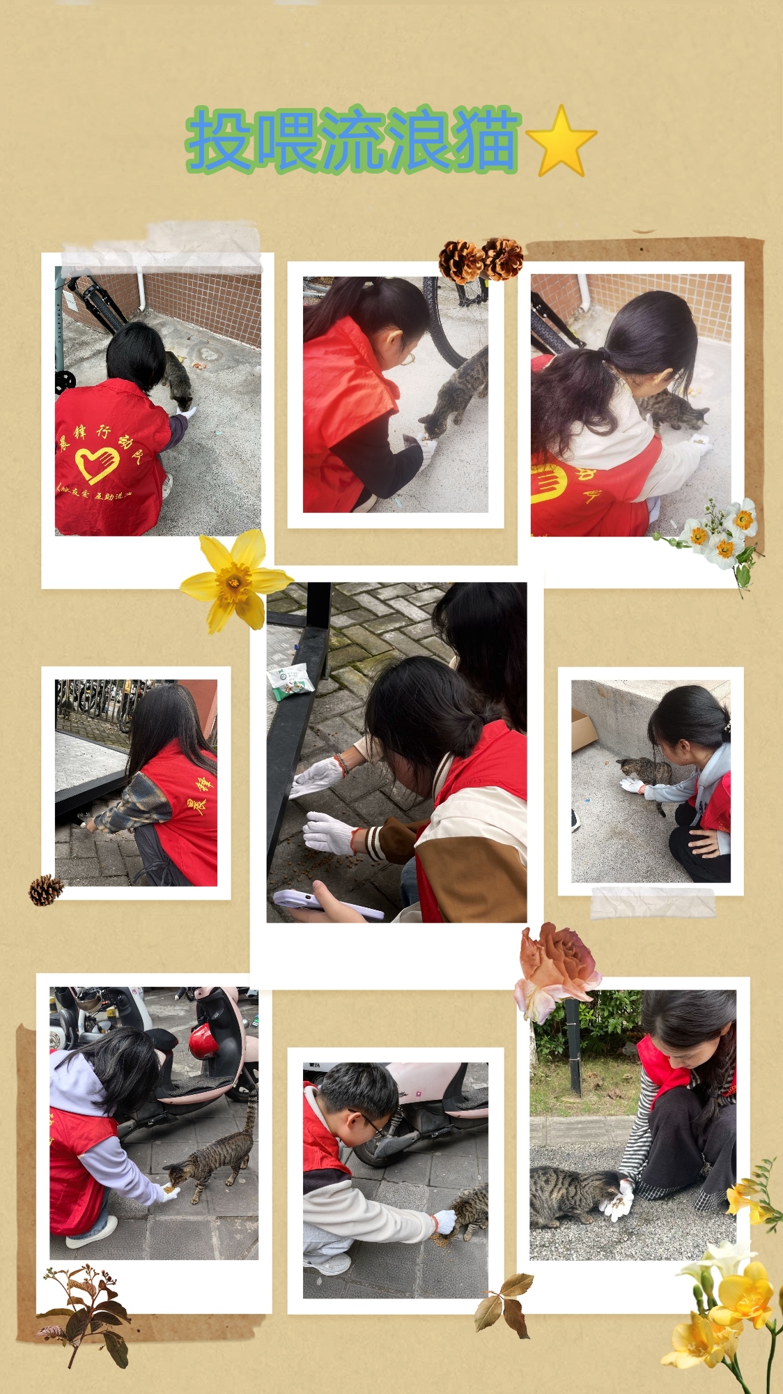 K1体育开展''绒化暖秋‘’关爱校园流浪猫志愿服务活动 (2).jpg